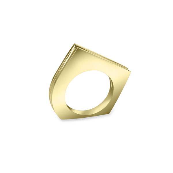 FLUME:02 RING